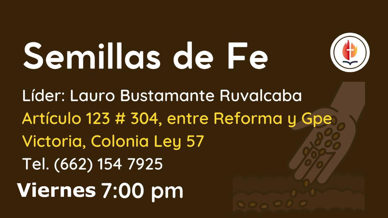 Semillas de Fe