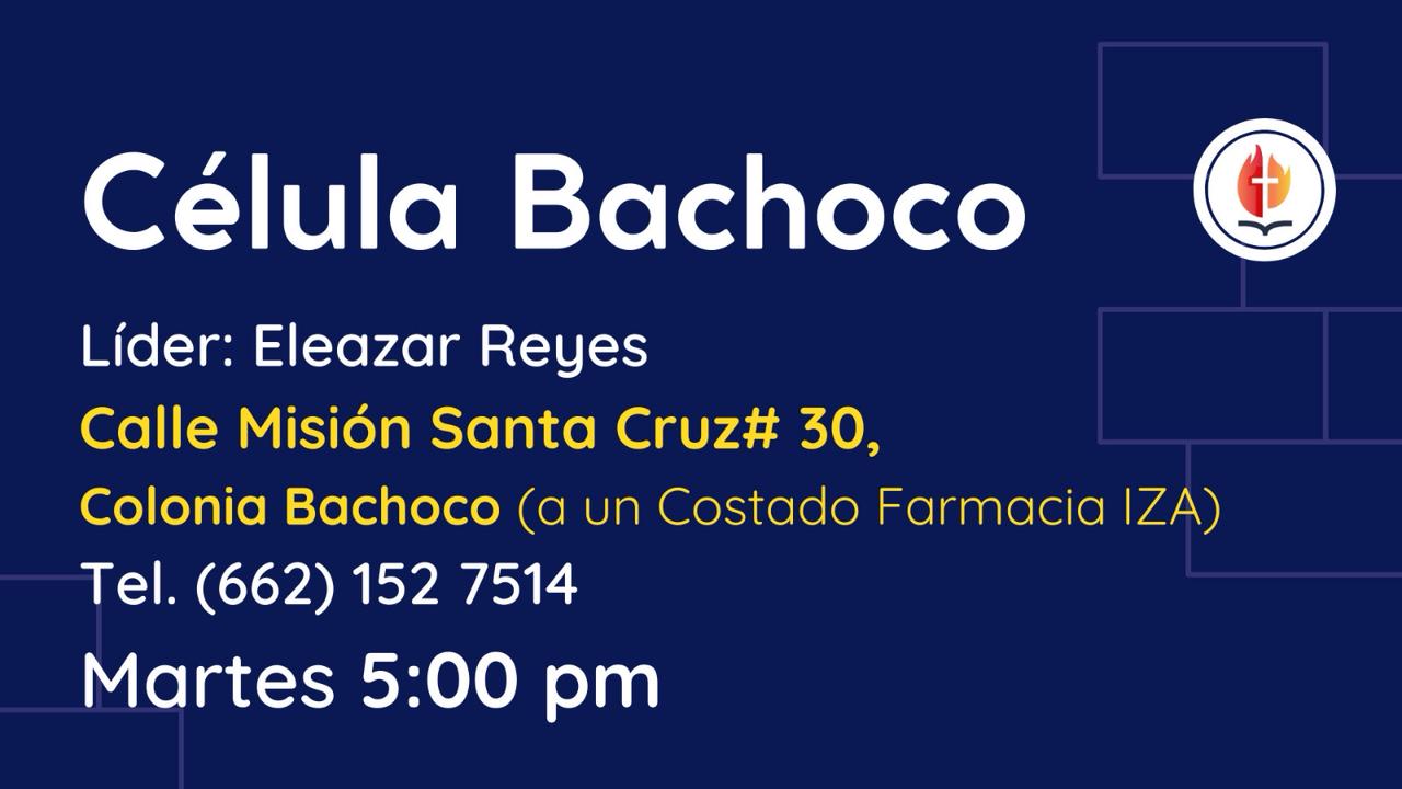 Célula Bachoco